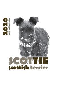 Scottie