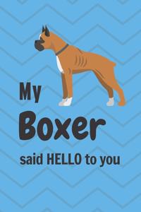 My Boxer said HELLO to you