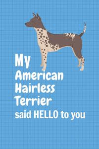 My American Hairless Terrier said HELLO to you