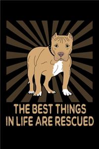 The Best Things In Life Are Rescued