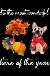 It's The Most Wonderful Time of The Year