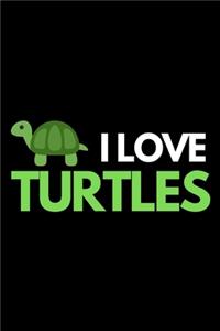 I Love Turtles