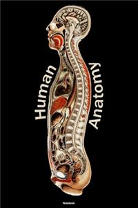 Human Anatomy Notebook