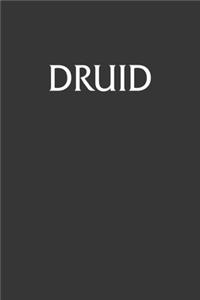 Druid Notebook