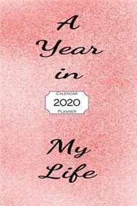 A Year In My Life 2020 Calendar Planner