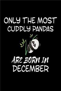 Only The Most Cuddly Pandas Are Born In December