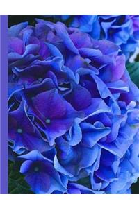 Blue & Purple Hydrangea Blank Writing Notebook