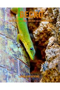 Gecko