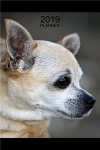 Chihuahua Planner 2019