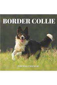 Border Collie 2019 Wall Calendar: Mini Wall Calendar Dog Photography 12 Month Calendar Planner