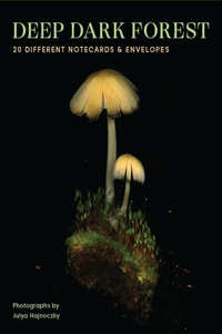 Deep Dark Forest Notes
