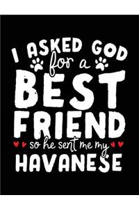 I Asked God For A Best Friend So He Sent Me My Havanese