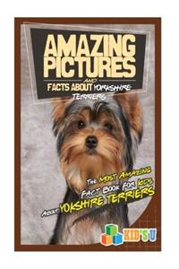 Amazing Pictures and Facts About Yorkshire Terriers: The Most Amazing Fact Book for Kids About Yorkshire Terriers (Kids U)