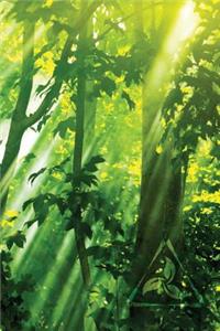 Sun-Streak Leaves Journal