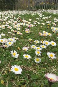 White Flowers Notebook