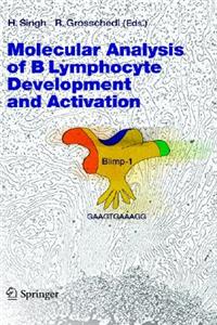 Molecular Analysis of B Lymphocyte Development and Activation