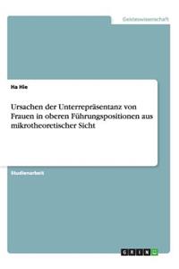 Ursachen der Unterrepräsentanz von Frauen in oberen Führungspositionen aus mikrotheoretischer Sicht