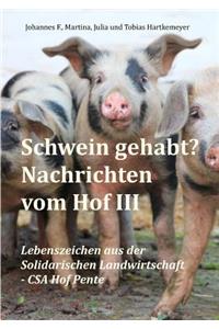 Schwein gehabt? Nachrichten vom Hof III