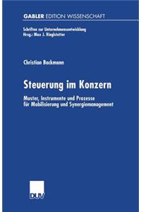 Steuerung Im Konzern