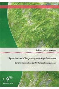 Hydrothermale Vergasung von Algenbiomasse