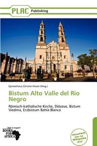Bistum Alto Valle del R O Negro