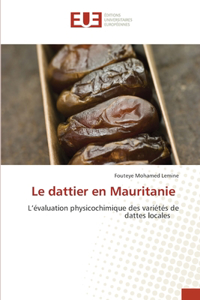 dattier en Mauritanie