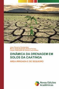 Dinâmica Da Drenagem Em Solos Da Caatinga