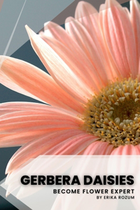 Gerbera Daisies