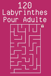 120 Labyrinthes Pour Adulte