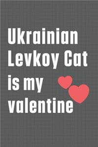 Ukrainian Levkoy Cat is my valentine