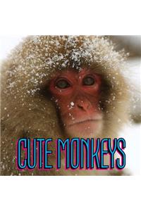 Cute Monkeys