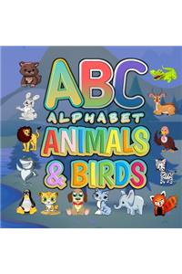 ABC Alphabet Animals And Birds