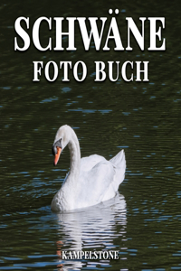 Schwäne Foto Buch