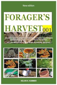 Forager's Harvest 001