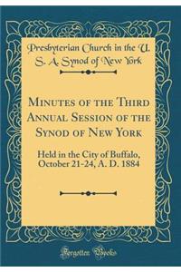 Minutes of the Third Annual Session of the Synod of New York: Held in the City of Buffalo, October 21-24, A. D. 1884 (Classic Reprint)