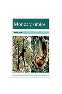 Monos Y Simios (Monkeys and Apes)