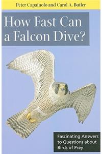How Fast Can a Falcon Dive?