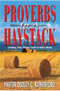 Proverbs in a Haystack: Finding That Hidden Truth in God's Word