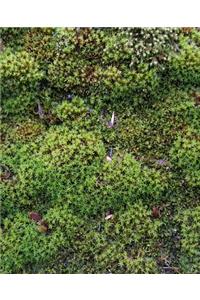 School Composition Book Moss Growth Shingles
