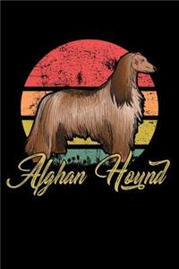 Afghan Hound