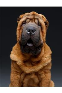 Shar Pei Notebook
