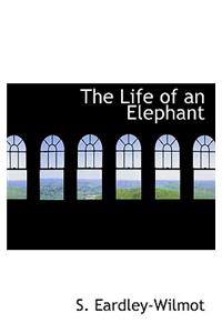 The Life of an Elephant