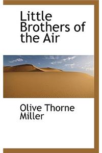 Little Brothers of the Air