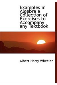 Examples in Algebra a Collection of Exercises to Accompany Any Textbook