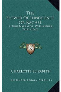 The Flower Of Innocence Or Rachel