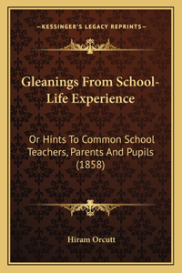 Gleanings From School-Life Experience