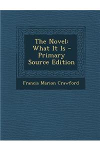 Novel: What It Is