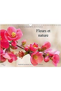 Fleurs Et Nature 2017