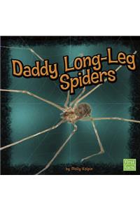 Daddy Long-Leg Spiders