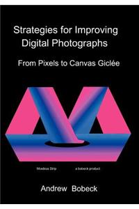 Strategies for Improving Digital Photographs: From Pixels to Canvas Giclee